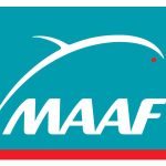MAAF